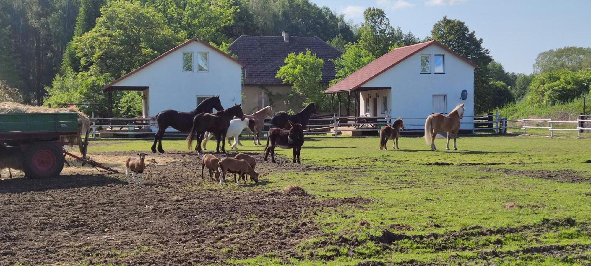 Rancho Colorado Villa Trzciel Kültér fotó