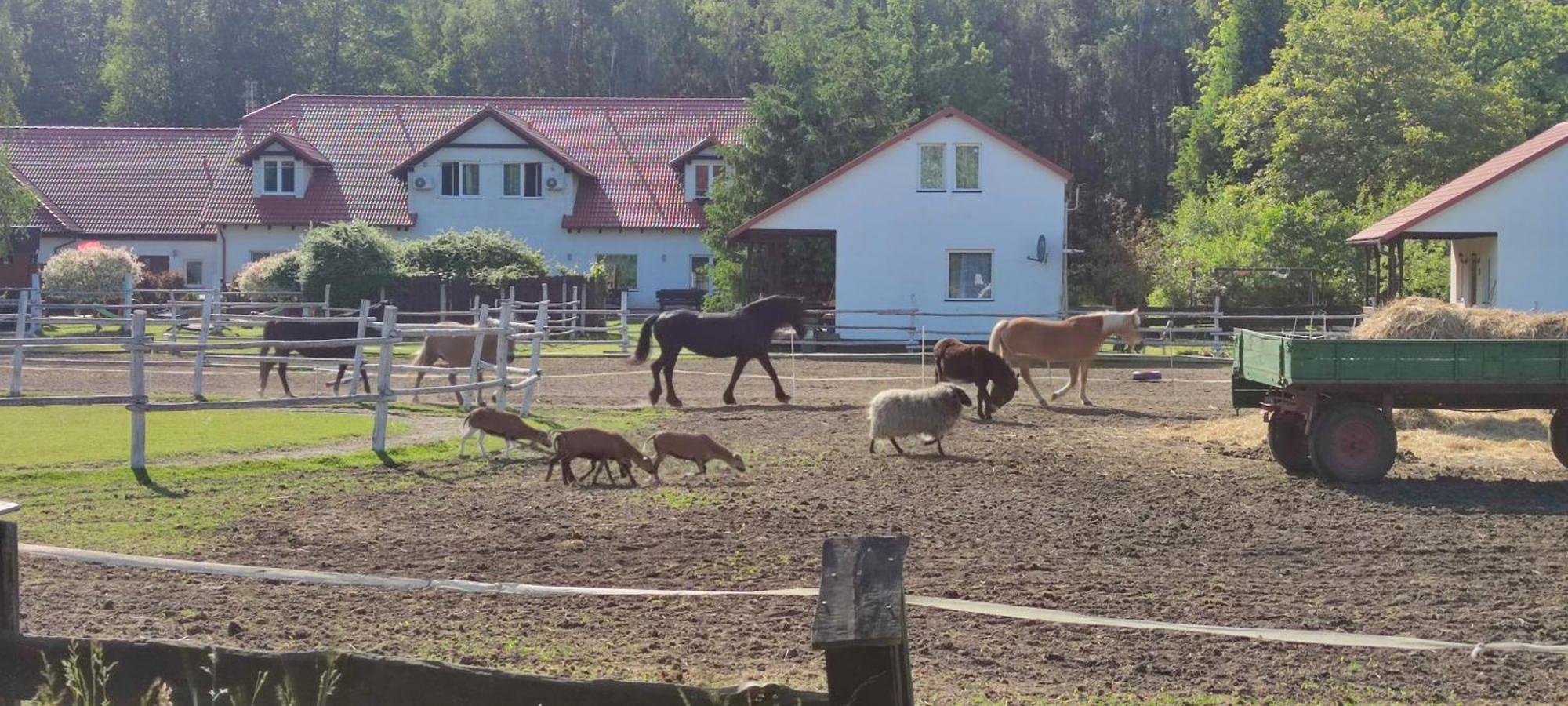 Rancho Colorado Villa Trzciel Kültér fotó